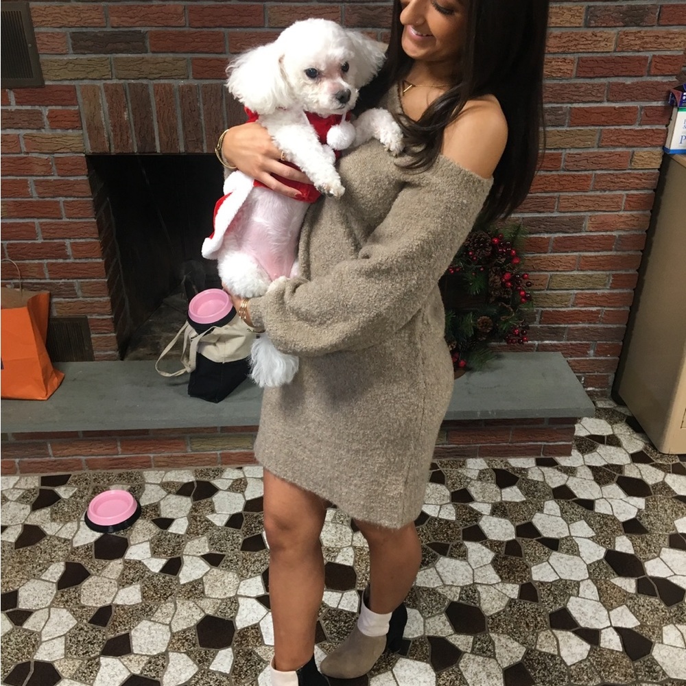 AE sweater dress